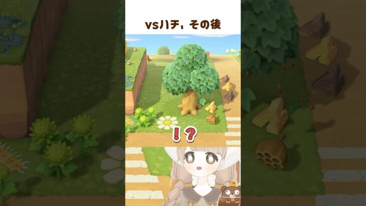 ミントちゃんはくれました 🐿 #shorts #あつ森