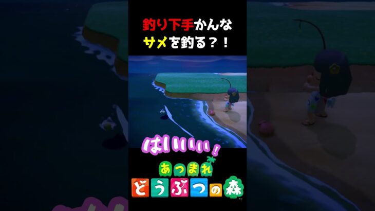 まさか？！ついに大きなサメ釣れた？！　#あつ森  #shorts #けいとかんな