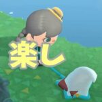 【あつ森】虫取りしていたら…本が・・？！？ #shorts #あつ森 #あつまれどうぶつの森 #ゲーム実況