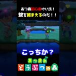 あつ森初心者のけいさんが蚊の捕獲に挑戦！うまく捕まえれるかな？ｗ　#あつ森  #shorts #けいとかんな