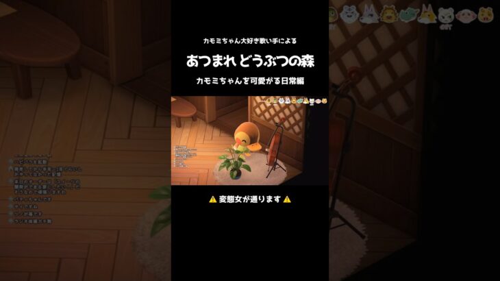 【あつ森】推しはやっぱり可愛いんだよ🎻【カモミ】#shorts #歌い手 #あつ森 #カモミ