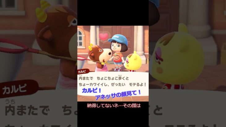 カルピとアネッサ「アドバイス？」【あつ森】＃shorts