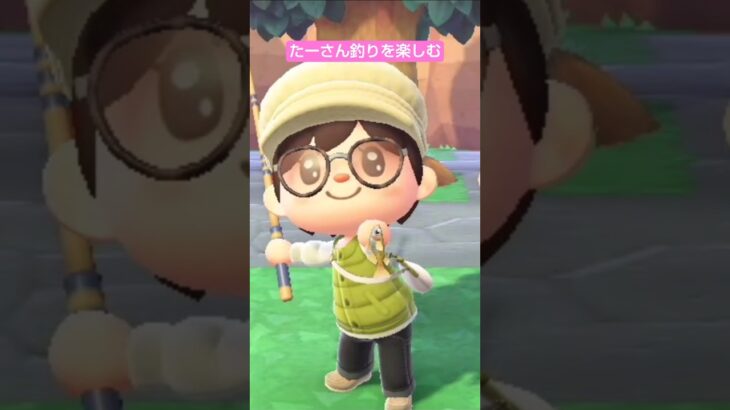 【あつ森】メダカ釣ったよ @たーさんの趣味の部屋 #たーさん釣りを楽しむ #shorts