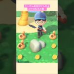 【あつ森】お金の出る岩のあるコケ島 @たーさんの趣味の部屋  #たーさんお出かけしたよ #shorts