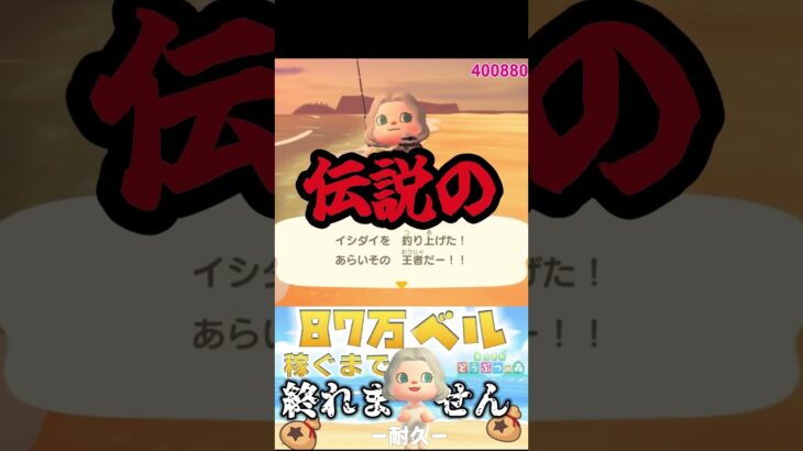 【あつ森】魚も虫も売値で呼ぶ配信者｜難関マイル達成｜耐久【あつまれどうぶつの森】#shorts