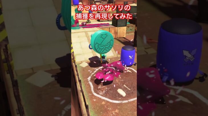 あつ森のサソリの捕獲を再現してみた #shorts #スプラトゥーン3 #splatoon3 #スプラ3