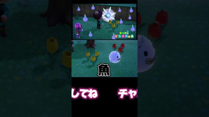 ゴーストバスター引退しようかな… #あつまれどうぶつの森 #あつ森 #どうぶつの森 #ゲーム実況 #ゲーム #shorts