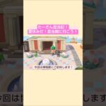 【あつ森】昆虫館に遊びに行こう！@たーさんの趣味の部屋  #たーさん昆虫記 #shorts