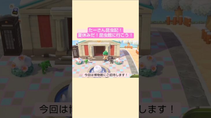【あつ森】昆虫館に遊びに行こう！@たーさんの趣味の部屋  #たーさん昆虫記 #shorts