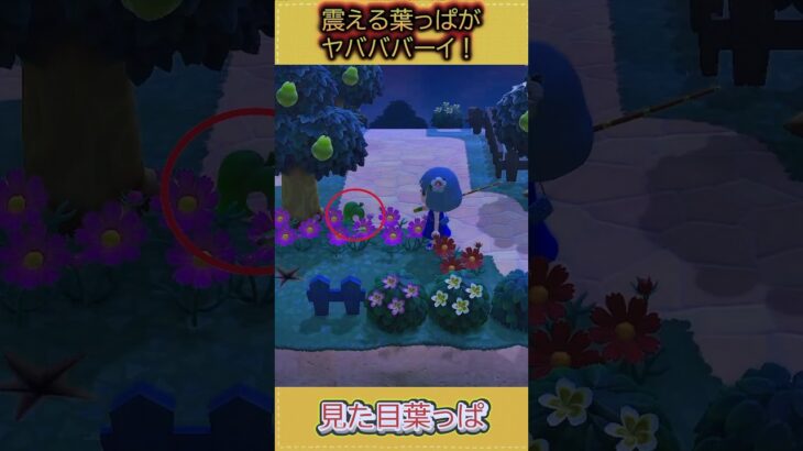 この葉っぱ震えてる…ヤバ！ #あつ森 #あつまれどうぶつの森 #shorts