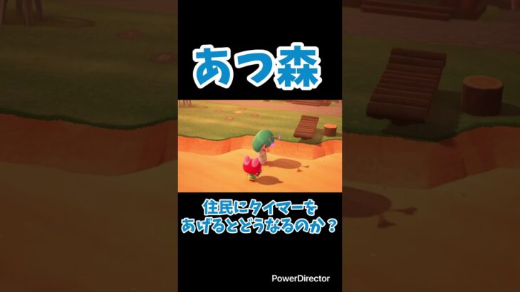 【あつ森】住民にタイマーをあげるとどうなるのか？#shorts