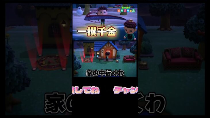 家が泣いてるよ！ #あつまれどうぶつの森 #あつ森 #どうぶつの森 #ゲーム実況 #ゲーム #shorts