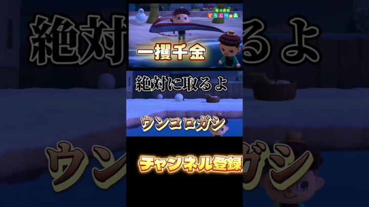 みんな大好きかっこいい虫だよ！ #あつまれどうぶつの森 #あつ森 #どうぶつの森 #ゲーム実況 #ゲーム #shorts
