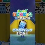 どうぶつの森で釣れた魚分ポケポケパックを引こう#shorts
