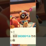 【あつ森】住民のお誕生日お祝いしたり、星のかけら拾ったり… #あつ森 #ハンドメイド作家 #ゲーム #shorts