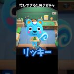 【あつ森】超特急！リッキー狙いのたぬきガチャ【あつまれどうぶつの森】#shorts