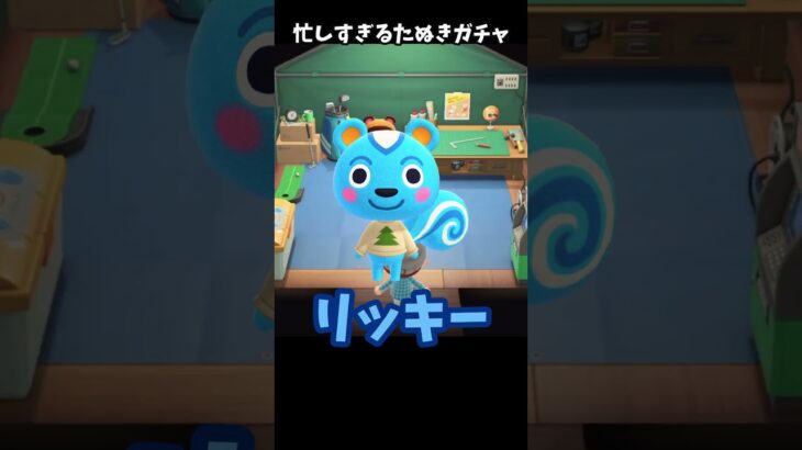 【あつ森】超特急！リッキー狙いのたぬきガチャ【あつまれどうぶつの森】#shorts