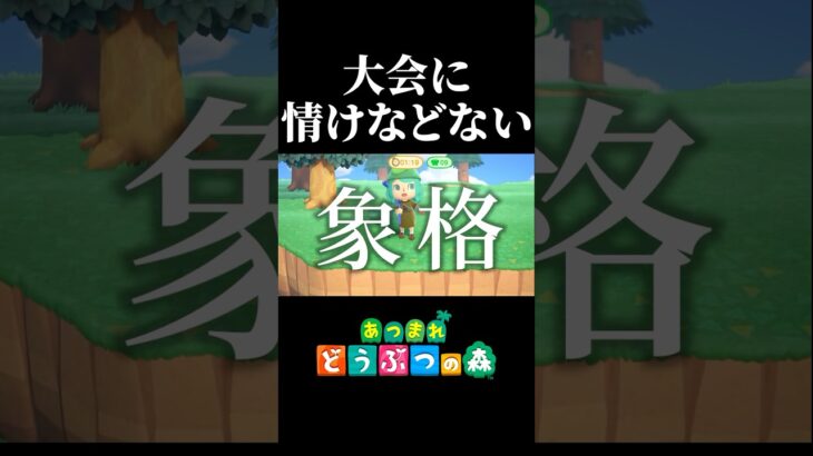 【配信切り抜き】ハクハラ(拍手ハラスメント) #あつ森  #あつまれどうぶつの森  #ゲーム実況  #切り抜き #shorts