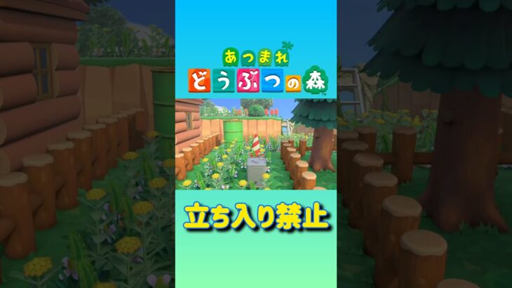 【あつ森】立入禁止 #shorts