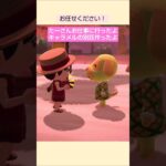 【あつ森】キャラメルの別荘作ったよ @たーさんの趣味の部屋  #たーさんお仕事に行ったよ  #shorts