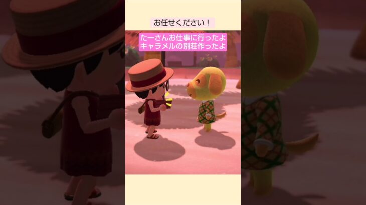 【あつ森】キャラメルの別荘作ったよ @たーさんの趣味の部屋  #たーさんお仕事に行ったよ  #shorts