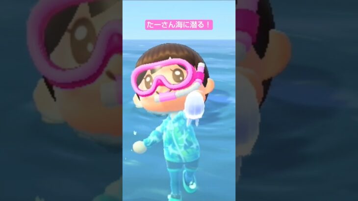 【あつ森】ミズクラゲ つかまえたよ #たーさん海に潜る  #shorts