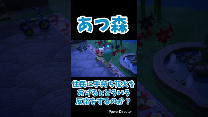 【あつ森】住民に手持ち花火をあげるとどういう反応をするのか？#shorts