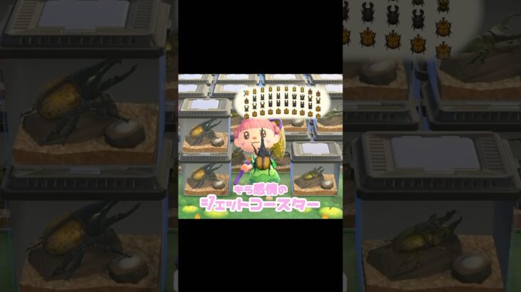 「ワクワク」と「ドキドキ」スリル満点の１日…！？！？#あつ森 #どうぶつの森 #あつまれどうぶつの森 #どう森 #shortvideo #shorts #short  #あつ森昆虫採集