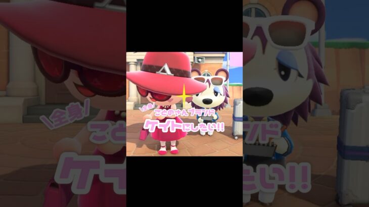 そろそろワンピースください…ことの様？！？！#あつ森 #どうぶつの森 #あつまれどうぶつの森 #どう森 #shortvideo #shorts #short #ことのさん