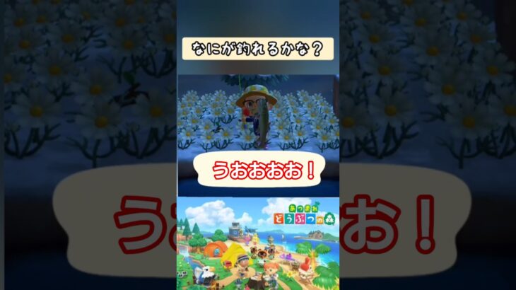 【#あつ森 】うおおおお！【#switch 】
