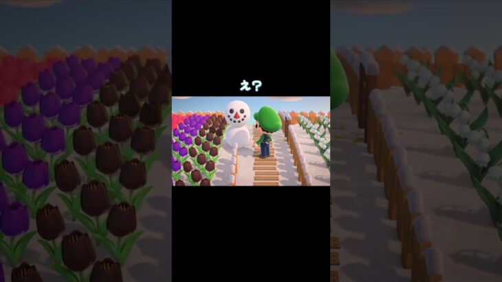 #あつまれどうぶつの森 #あつ森 #どうぶつの森 #小ネタ #ゲーム #ゲーム実況 #switch #チャンネル登録と高評価お願いします