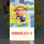 【#あつ森 】天ぷらが最高〜♪【#switch 】