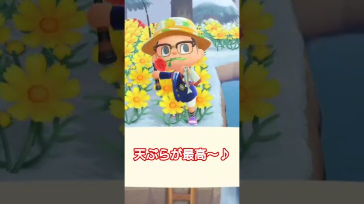 【#あつ森 】天ぷらが最高〜♪【#switch 】