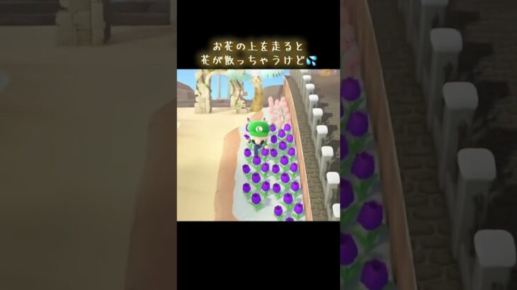 #あつまれどうぶつの森 #あつ森#どうぶつの森 #小ネタ #ゲーム #ゲーム実況 #switch #ちゃんねる登録お願いします