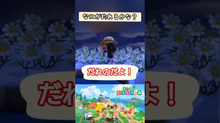 【#あつ森 】 だれのだよ！【#switch 】