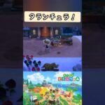 【#あつ森】タランチュラ！【#switch 】