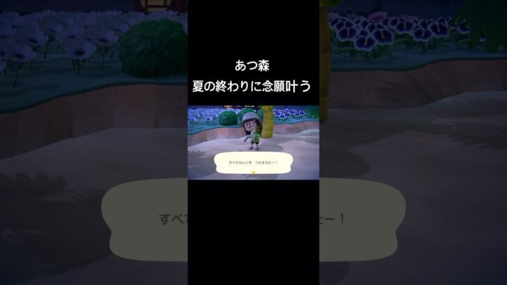 何日も探してやっと見つけた超激レア虫 #あつ森 #switch