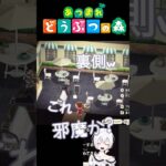 レイアウトは…#あつ森 #あつまれどうぶつの森ハッピーホームパラダイス #switch