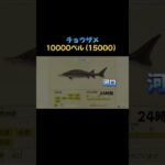 #あつまれどうぶつの森 #あつ森#どうぶつの森 #小技 #ゲーム #ゲーム実況#switch