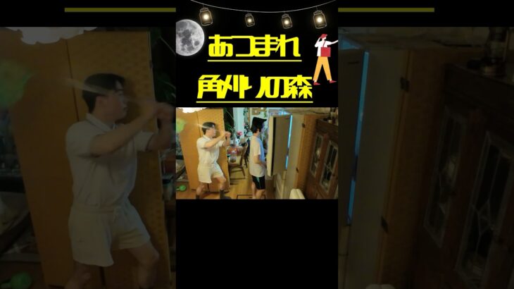 #あつ森#switch