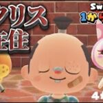 【あつ森生活④】switch2でより快適になったあつ森で１から島を作るぞ！！【ACNH・島クリ】