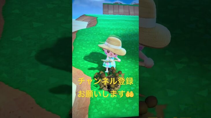 #あつ森#あつまれどうぶつの森#どうぶつの森#スイッチ#switch#ニンテンドー#任天堂#nintendo#動物