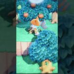 #あつ森#あつまれどうぶつの森#どうぶつの森#スイッチ#switch#ニンテンドー#任天堂#nintendo#動物#釣り#釣り竿#魚釣り#海#海の生物#海の生き物#化石#ハニワ