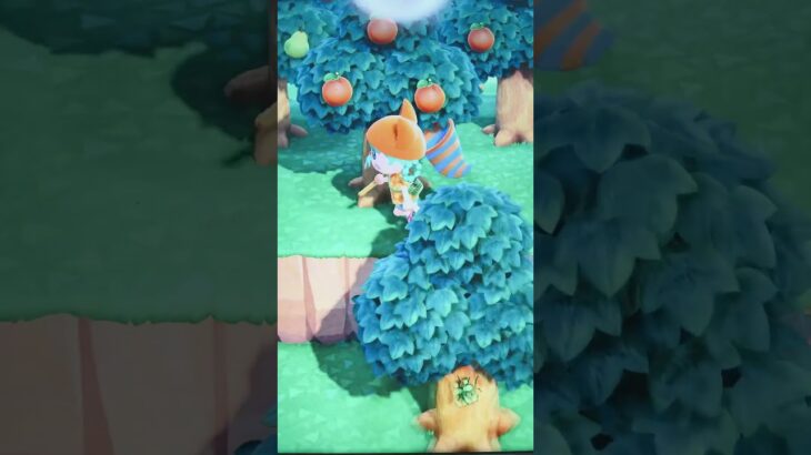 #あつ森#あつまれどうぶつの森#どうぶつの森#スイッチ#switch#ニンテンドー#任天堂#nintendo#動物#釣り#釣り竿#魚釣り#海#海の生物#海の生き物#化石#ハニワ