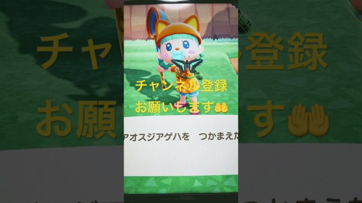 #あつ森#あつまれどうぶつの森#どうぶつの森#スイッチ#switch#ニンテンドー#任天堂#nintendo#動物#釣り#釣り竿#魚釣り#海#海の生物#海の生き物#化石#ハニワ