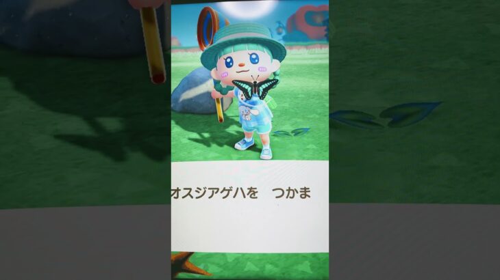 #あつ森#あつまれどうぶつの森#どうぶつの森#スイッチ#switch#ニンテンドー#任天堂#nintendo#動物#釣り#釣り竿#魚釣り#海#海の生物#海の生き物#化石#ハニワ