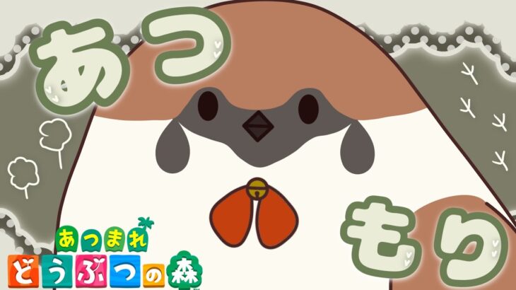 【あつ森】初見さん大歓迎！更地化作業～！！