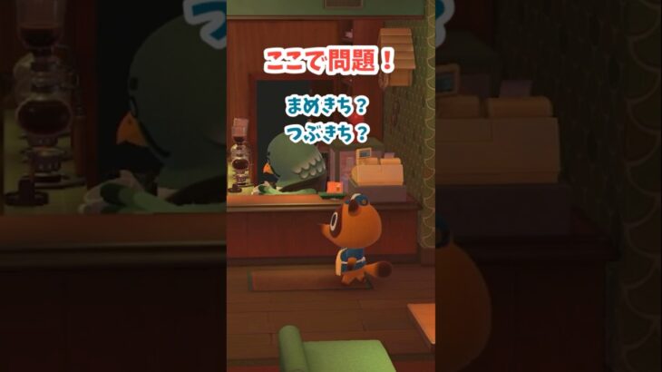 【あつ森】まめきちとつぶきちの見分け方あるの？🤣 #あつ森 #あつ森日記 #あつまれどうぶつの森