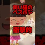 飼い猫のベスポジが衝撃的過ぎる/あつ森アニメ#あつまれどうぶつの森