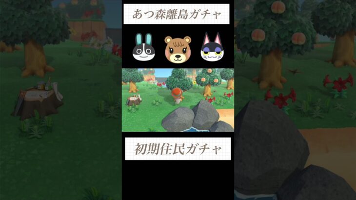 【あつ森】初期住民厳選⑭性格固定ガチャ５連#あつ森 #あつまれどうぶつの森 #離島ガチャ